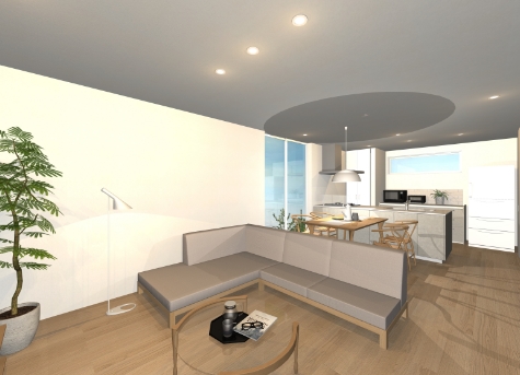 HIRAYA-南向きの家-の内観